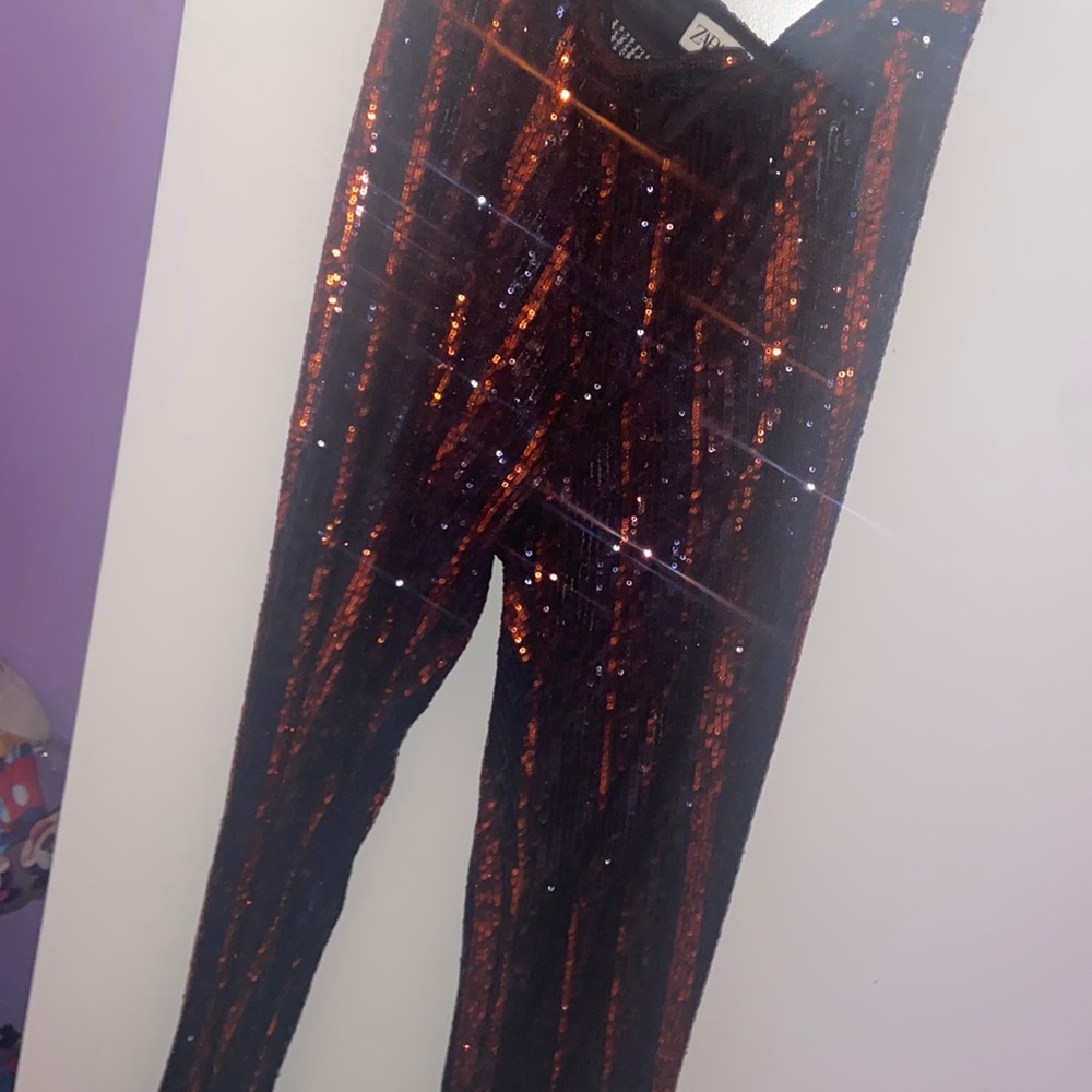 Semi see thru sequin pants by Zara , brand new with a price sticker inside